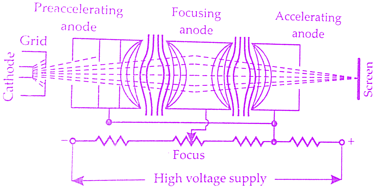 isoelectric focus anode cathode